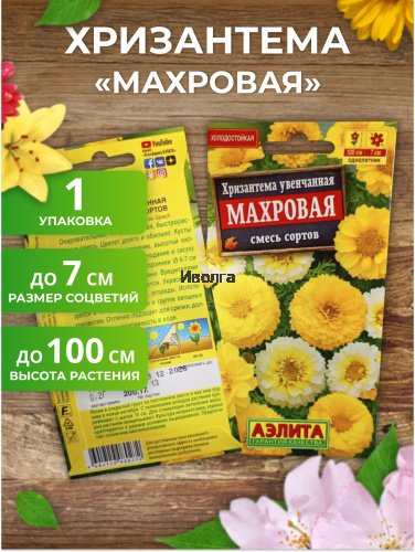 Набор семян цветов "Хризантема №1" фото 3 Набор семян цветов "Хризантема №1" фото 3